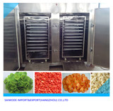 CT Vegetable Drying Machine 